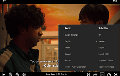 Video Subtitling and Voice-Over